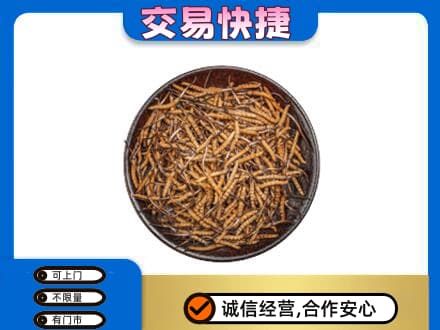 玉林北流市回收散虫草